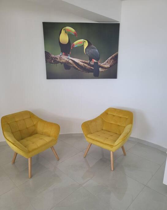 Hello Guyane Apartment Cayenne Exterior photo